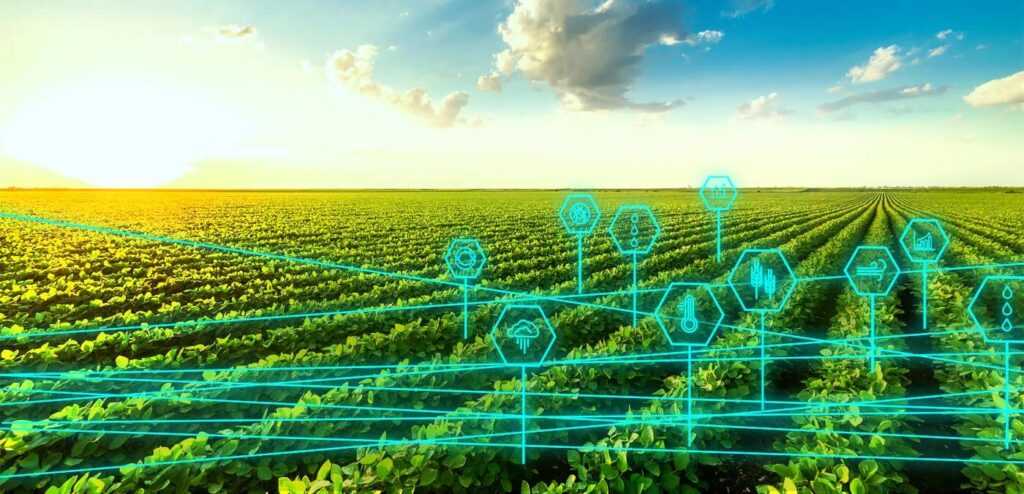 "How Farmers Use AI to Boost Crop Yields Amid Unpredictable Weather"