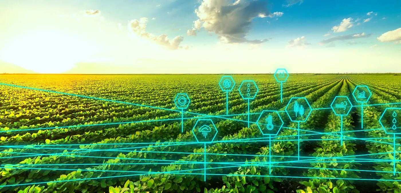 "How Farmers Use AI to Boost Crop Yields Amid Unpredictable Weather"